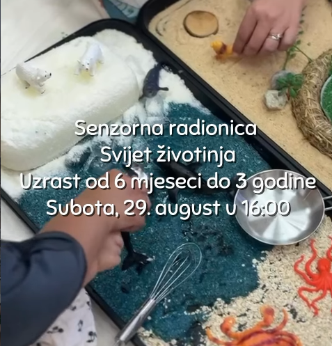 Senzorna radionica - Svijet životinja