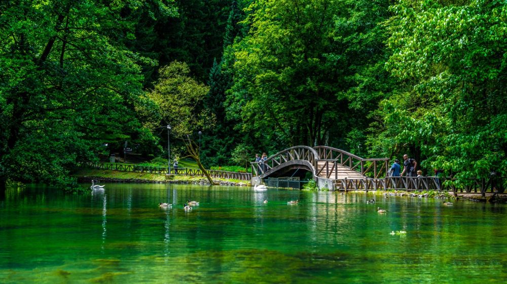 Vrelo Bosne